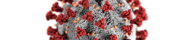 State-Level COVID-19 Metrics USA Dataset on Opendatabay data marketplace