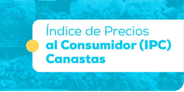 Monthly Ecuadorian Inflation Data by Income Strata Dataset on Opendatabay data marketplace