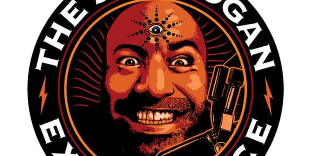 Elon Musk JRE Audience Interaction Archive Dataset on Opendatabay data marketplace