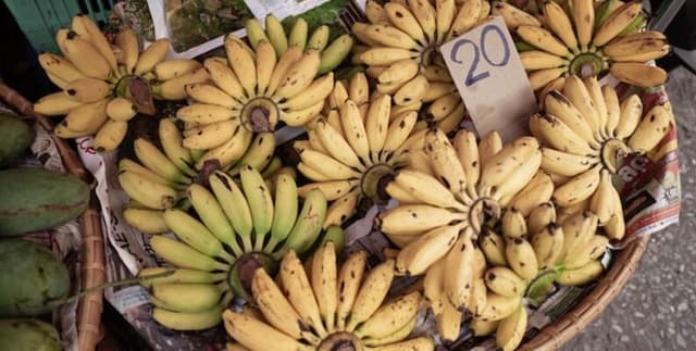 American Family Cost of Living by County Dataset on Opendatabay data marketplace