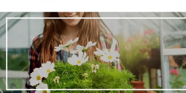 English Tweet Hate Speech Classifier Data Dataset on Opendatabay data marketplace