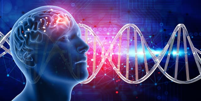 TCGA Brain Glioma Signatures for Classification Dataset on Opendatabay data marketplace