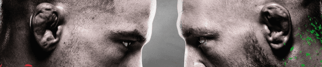 Poirier vs McGregor II Twitter Sentiment Dataset on Opendatabay data marketplace