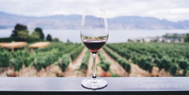 Curated Wine Review Dataset Dataset on Opendatabay data marketplace