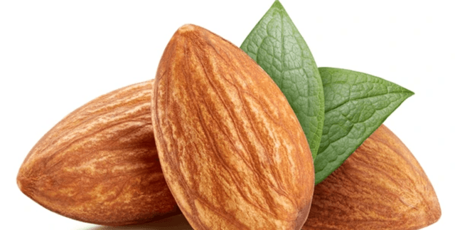 Almond Image Feature Classification Data Dataset on Opendatabay data marketplace