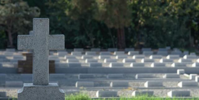 Historical Age-Stratified Mortality Data Dataset on Opendatabay data marketplace