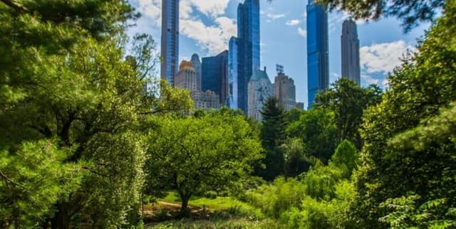 NYC Street Tree Health and Metrics Data Dataset on Opendatabay data marketplace