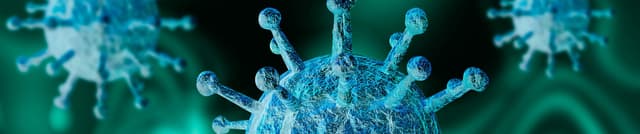 Mexico COVID-19 Case Tracking Dataset on Opendatabay data marketplace