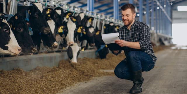 Boi Gordo Daily Price Time Series Dataset on Opendatabay data marketplace