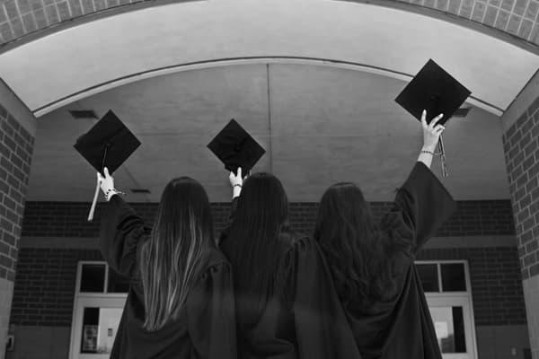 Higher Education Institutional Rankings 2023 Dataset Dataset on Opendatabay data marketplace