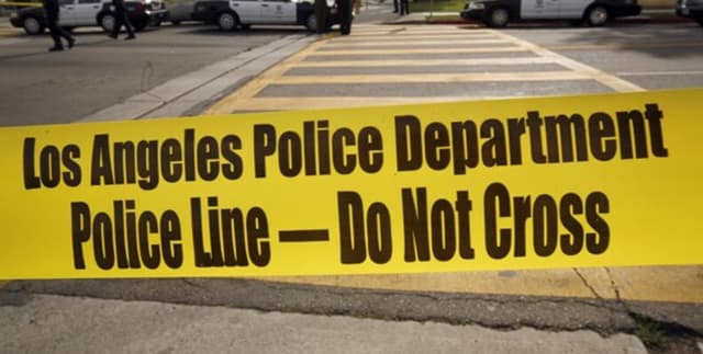 Historical Crime Data for Los Angeles Dataset on Opendatabay data marketplace