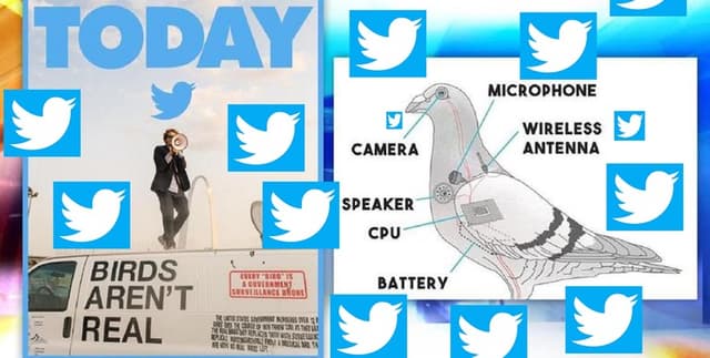 Twitter Birds Aren't Real Movement Dataset on Opendatabay data marketplace