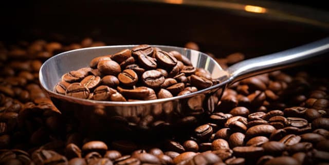 Coffee Bean Sensory Analysis Data Dataset on Opendatabay data marketplace