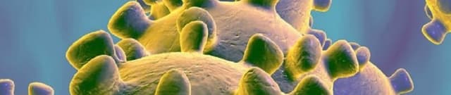 Romania SARS-CoV-2 Epidemiology Data Dataset on Opendatabay data marketplace