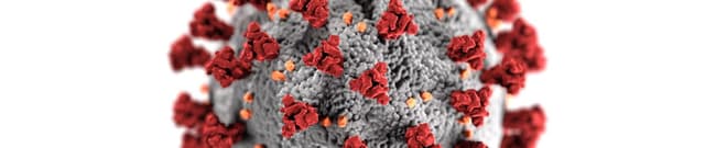 Covid-19 Media Sentiment Archive Dataset on Opendatabay data marketplace