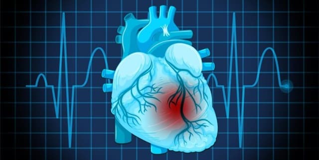 ML-Ready Heart Condition Risk Dataset Dataset on Opendatabay data marketplace
