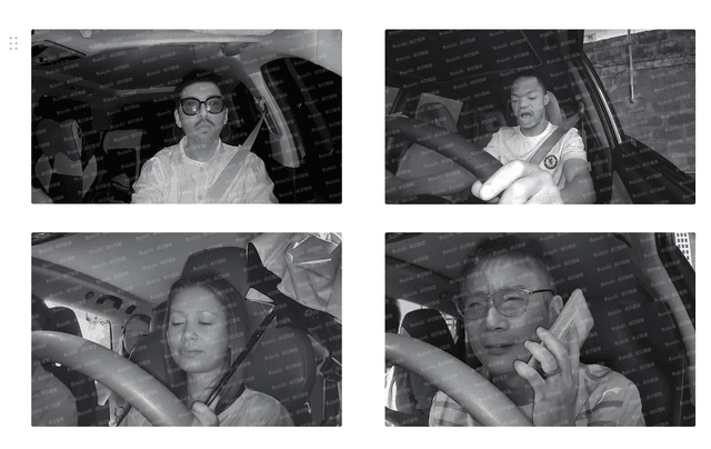 Multi-state Driver Facial Keypoint Dataset Dataset on Opendatabay data marketplace