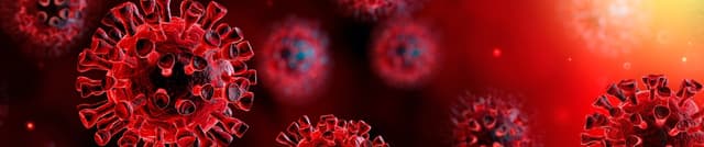 Morocco Coronavirus Daily Case Tracking Dataset on Opendatabay data marketplace