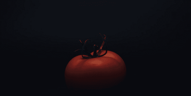 Rotten Tomatoes Binary Sentiment Dataset Dataset on Opendatabay data marketplace