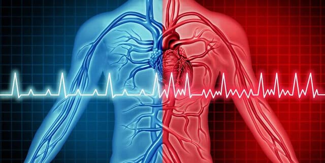 Multi-Source Heart Condition Database Dataset on Opendatabay data marketplace