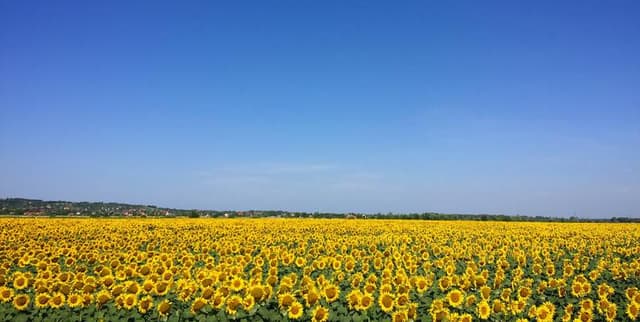 Monthly World Sunshine Duration Data Dataset on Opendatabay data marketplace