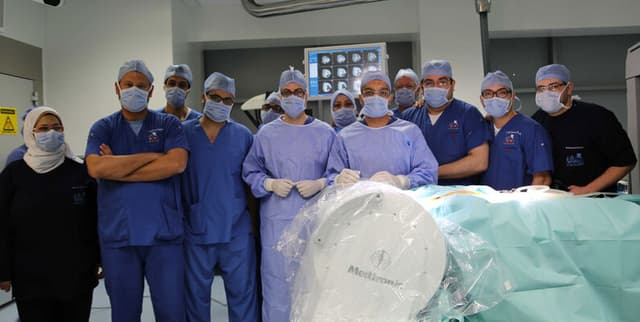 Egypt Healthcare Professional Snapshot Dataset on Opendatabay data marketplace