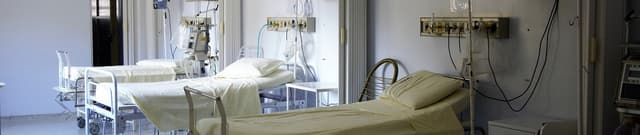 Worldwide Healthcare Bed Data Dataset on Opendatabay data marketplace