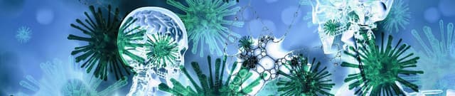 Global COVID-19 Case Distribution Dataset on Opendatabay data marketplace