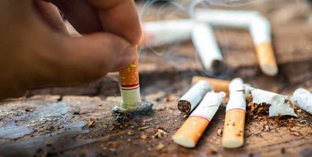 UK Adult Smoking Survey Data Dataset on Opendatabay data marketplace