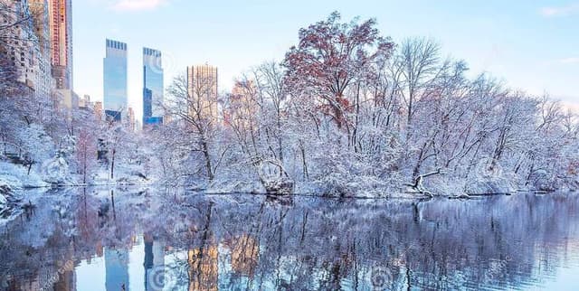 NYC Weather Conditions Dataset 2019 Dataset on Opendatabay data marketplace