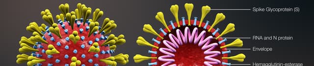 COVID-19 and Historical Epidemics Data Dataset on Opendatabay data marketplace