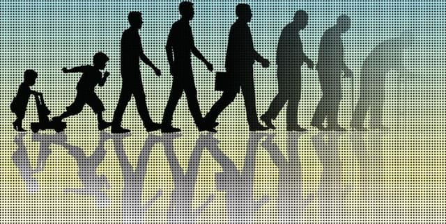 WHO Global Life Expectancy by Income Group Dataset on Opendatabay data marketplace