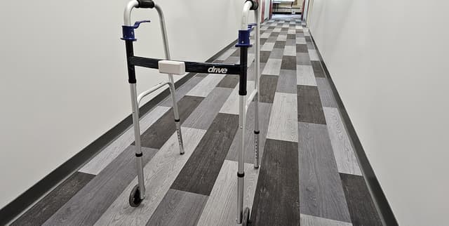 Walker Activity and Fall Data Dataset on Opendatabay data marketplace