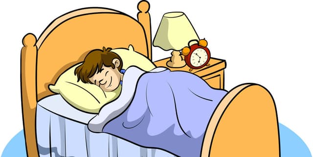 Simulated Sleep Factor Dataset Dataset on Opendatabay data marketplace