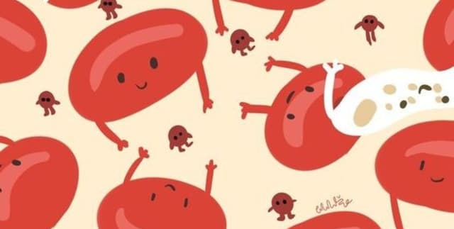 Diabetes Risk Prediction Clinical Dataset Dataset on Opendatabay data marketplace