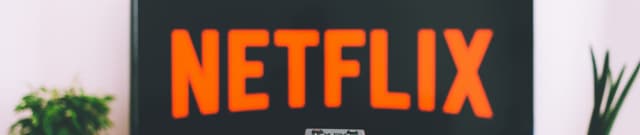 Netflix Shows and Films Data Dataset on Opendatabay data marketplace