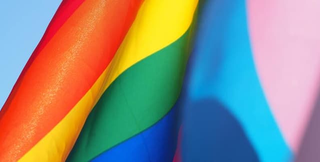 European Human Rights and LGBTI Demographic Data Dataset on Opendatabay data marketplace