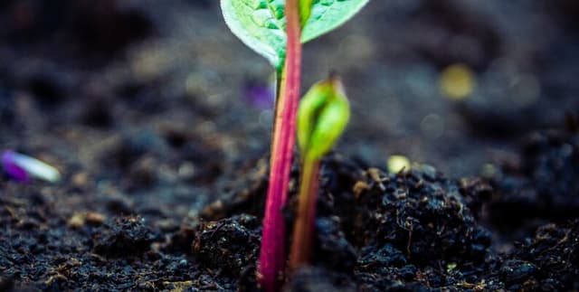 Africa Soil Properties for iSDA Mapping Dataset on Opendatabay data marketplace