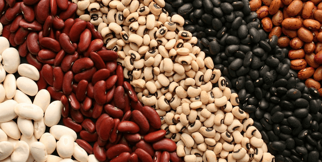 Dry Bean Morphological Attribute Dataset Dataset on Opendatabay data marketplace
