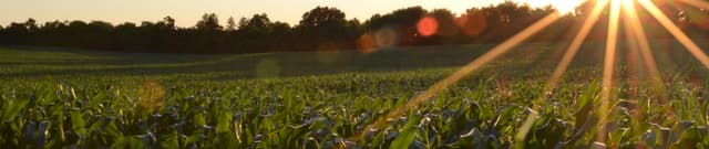 Historical Crop Harvest Data for Tamil Nadu Dataset on Opendatabay data marketplace