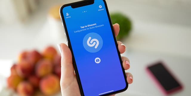 Global Music Identification Insights Dataset on Opendatabay data marketplace