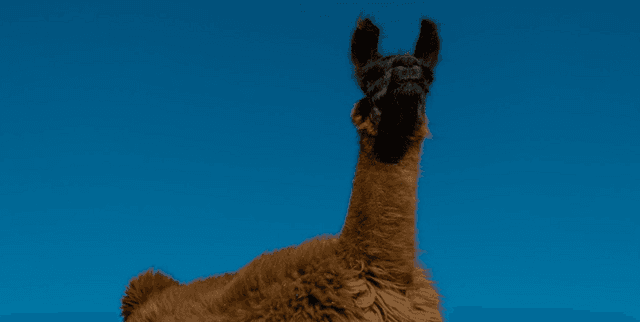 High-Accuracy Augmented Machine Translation Dataset Dataset on Opendatabay data marketplace