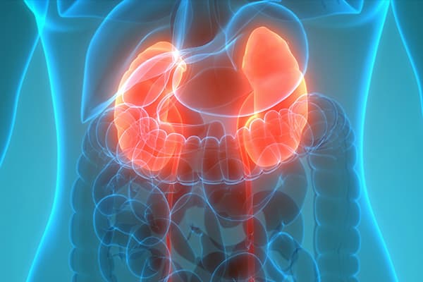 Synthetic Kidney Disease Patient Records Dataset Dataset on Opendatabay data marketplace