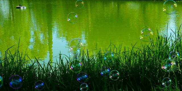 Personalised Mental Health Support Data Dataset on Opendatabay data marketplace