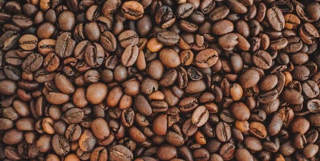 International Coffee Organisation Annual Data Dataset on Opendatabay data marketplace