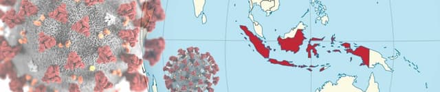 Indonesian Pandemic Data Dataset on Opendatabay data marketplace