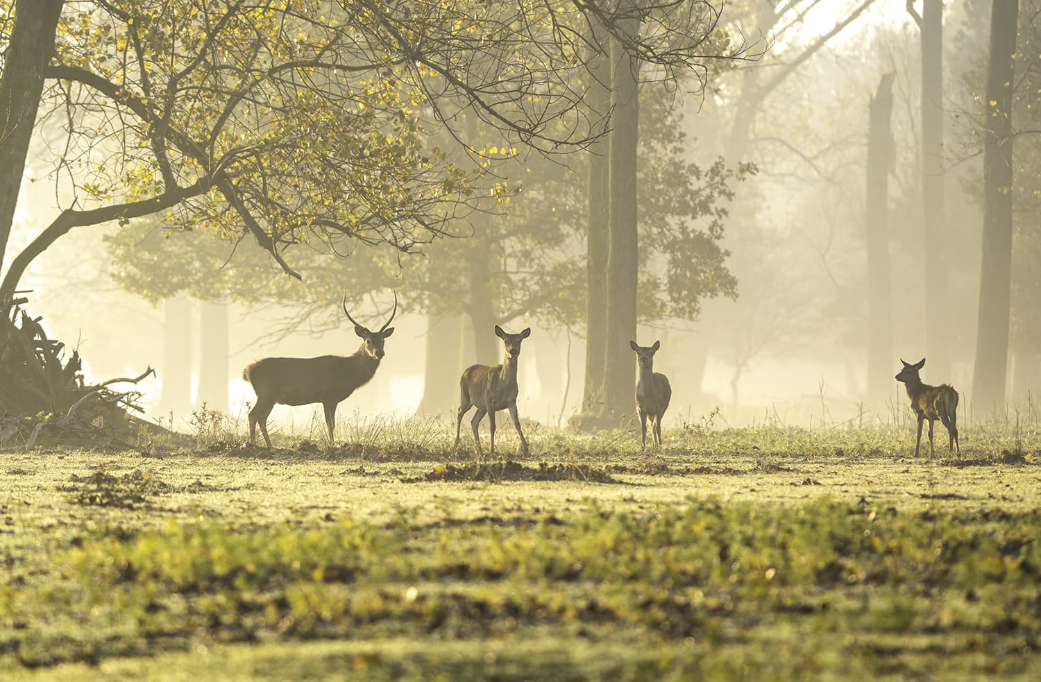Reporter della Natura® banner Data provider Reporter della Natura® banner image on Opendatabay marketplace