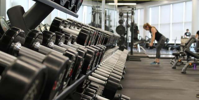 Synthetic Gym Member Activity & Check-in Data Dataset on Opendatabay data marketplace