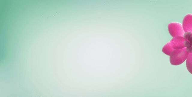 Questions to SQL Dataset Dataset on Opendatabay data marketplace