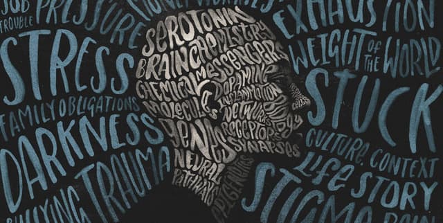 Reddit Depression Reports Dataset Dataset on Opendatabay data marketplace